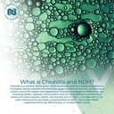 nootropics-depot-nadh-chlorella-vulgaris-4.jpg