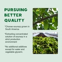 soursop-graviola-liquid-drops-2000mg-sou-4.jpg