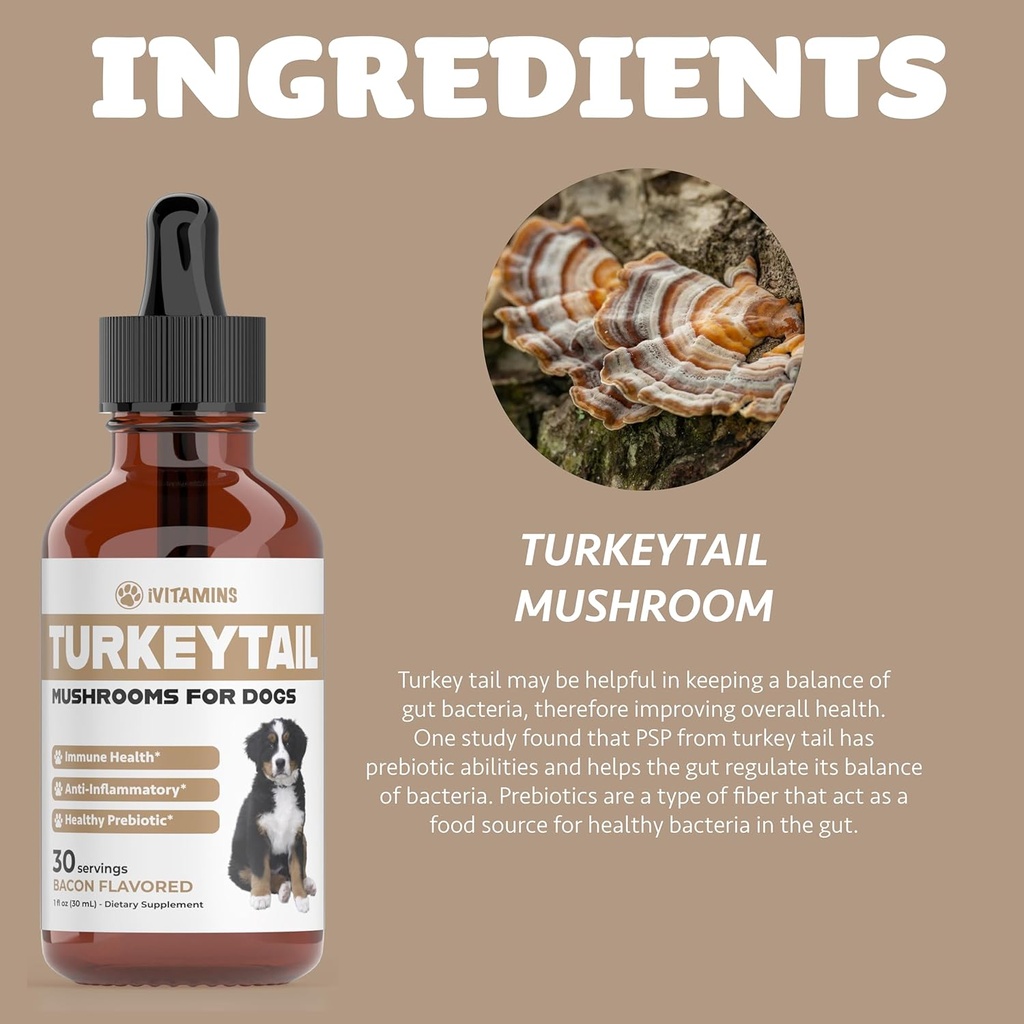 turkey-tail-mushroom-for-dogs-helps-to-b-6.jpg
