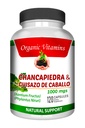 guisazo-de-caballo-and-chancapiedra-by-l-6.jpg