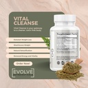 evolve-vital-cleanse-natural-detox-formu-6.jpg