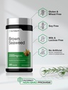 horb-ach-brown-seaweed-extract-capsules--5.jpg