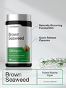 horb-ach-brown-seaweed-extract-capsules--4.jpg