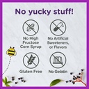zarbee-s-elderberry-gummies-for-kids-wit-5.jpg