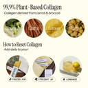 dr-eve-seedlab-plant-based-reset-collage-5.jpg