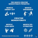 pro-basics-micronized-creatine-monohydra-2.jpg