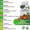 organic-superfood-greens-fruits-and-vegg-4.jpg