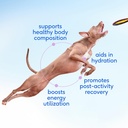 native-pet-goat-milk-powder-for-dogs-120-2.jpg