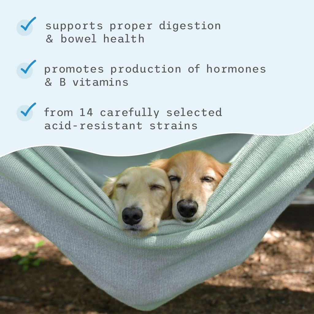 bark-whiskers-complete-probiotics-for-ca-5.jpg