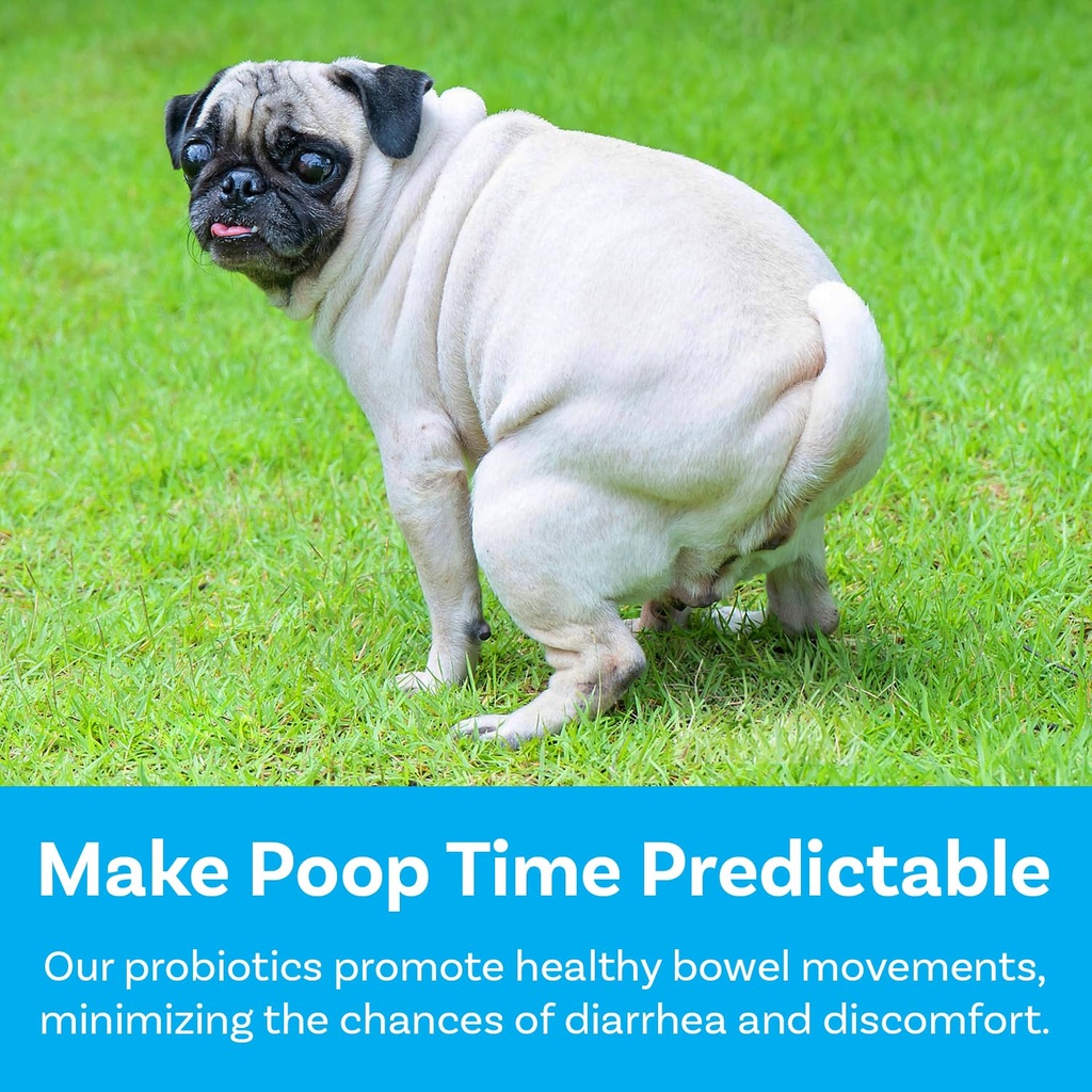 pawsafe-dog-probiotics-soft-chews-for-pi-4.jpg