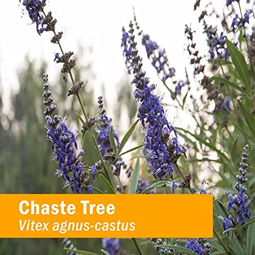 herb-pharm-chaste-tree-liquid-extract-fo-5.jpg