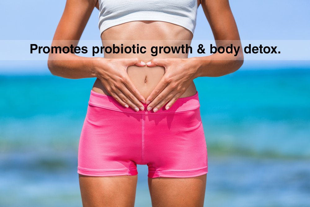 drformulas-best-probiotics-for-women-men-5.jpg