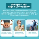 zentastic-probiotics-prebiotics-suppleme-6.jpg