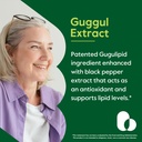 bestvite-guggul-extract-500mg-120-vegeta-2.jpg