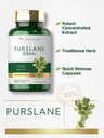 carlyle-purslane-capsules-120-count-port-3.jpg