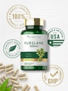 carlyle-purslane-capsules-120-count-port-5.jpg