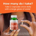 infinite-age-2-pack-of-1250mg-sea-moss-a-6.jpg