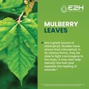 e2h-liquid-chlorophyll-natural-flavor-an-2.jpg