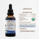 secrets-of-the-tribe-angelica-usda-organ-4.jpg