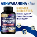 organic-cadane-ashwagandha-supplements---4.jpg