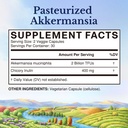 vitalitown-akkermansia-probiotic-glp-1-w-2.jpg
