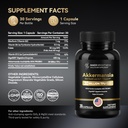 akkermansia-probiotic-glp-1-supplement-f-3.jpg