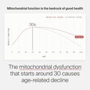 timeline-mitopure-urolithin-a-supplement-6.jpg