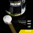 maxler-100-golden-creatine---micronized--3.jpg