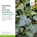 terry-naturally-bronchial-clear-ivy-leaf-5.jpg