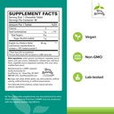 terry-naturally-bronchial-clear-ivy-leaf-2.jpg