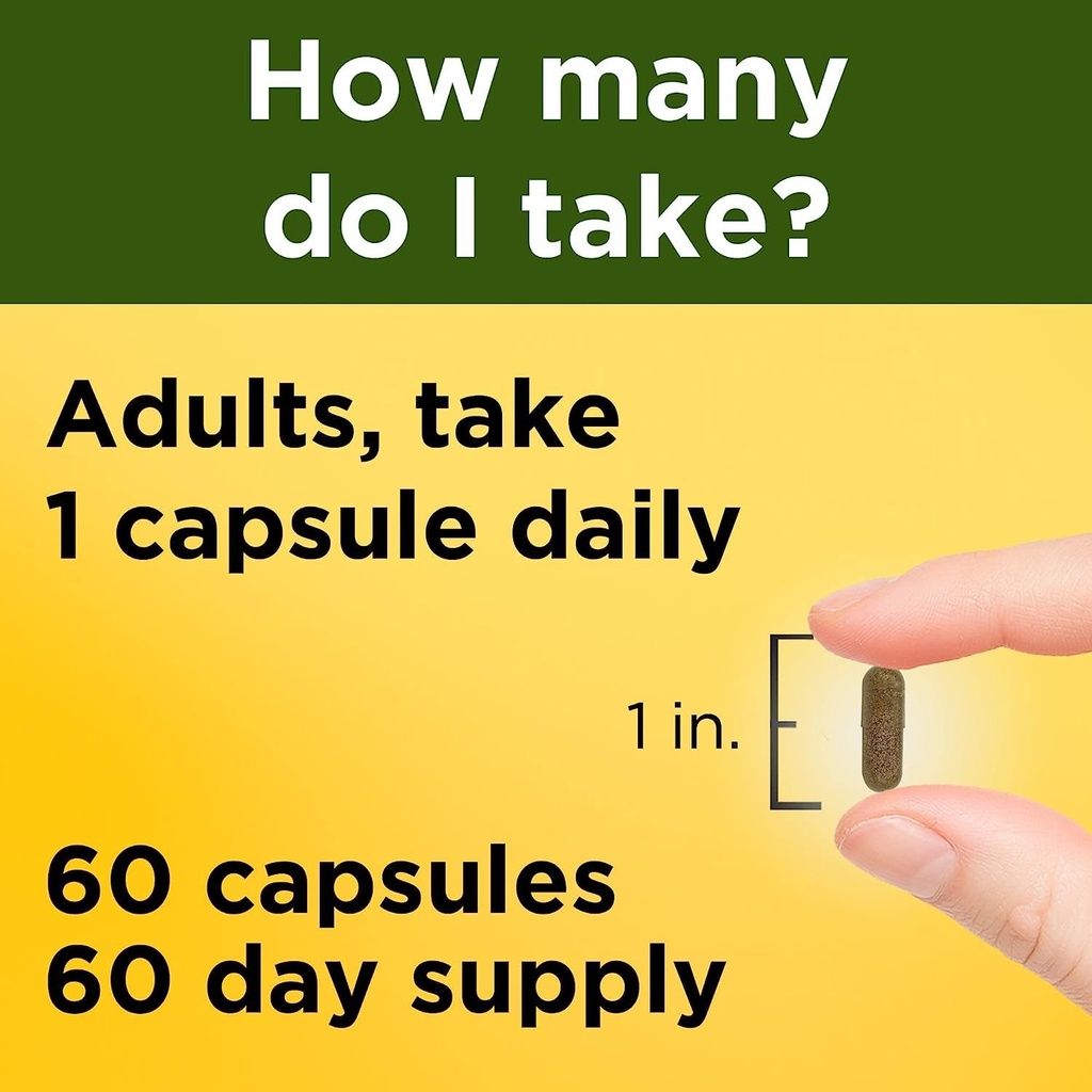 nature-made-ashwagandha-capsules-125mg-f-4.jpg