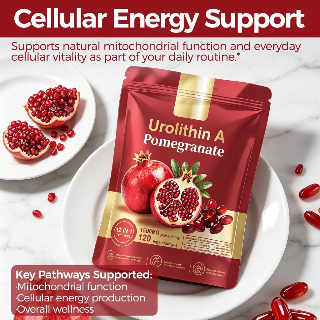 urolithin-a-supplement-with-trans-resver-4.jpg