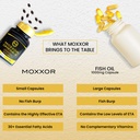 omega-3-new-zealand-green-lipped-mussel--4.jpg