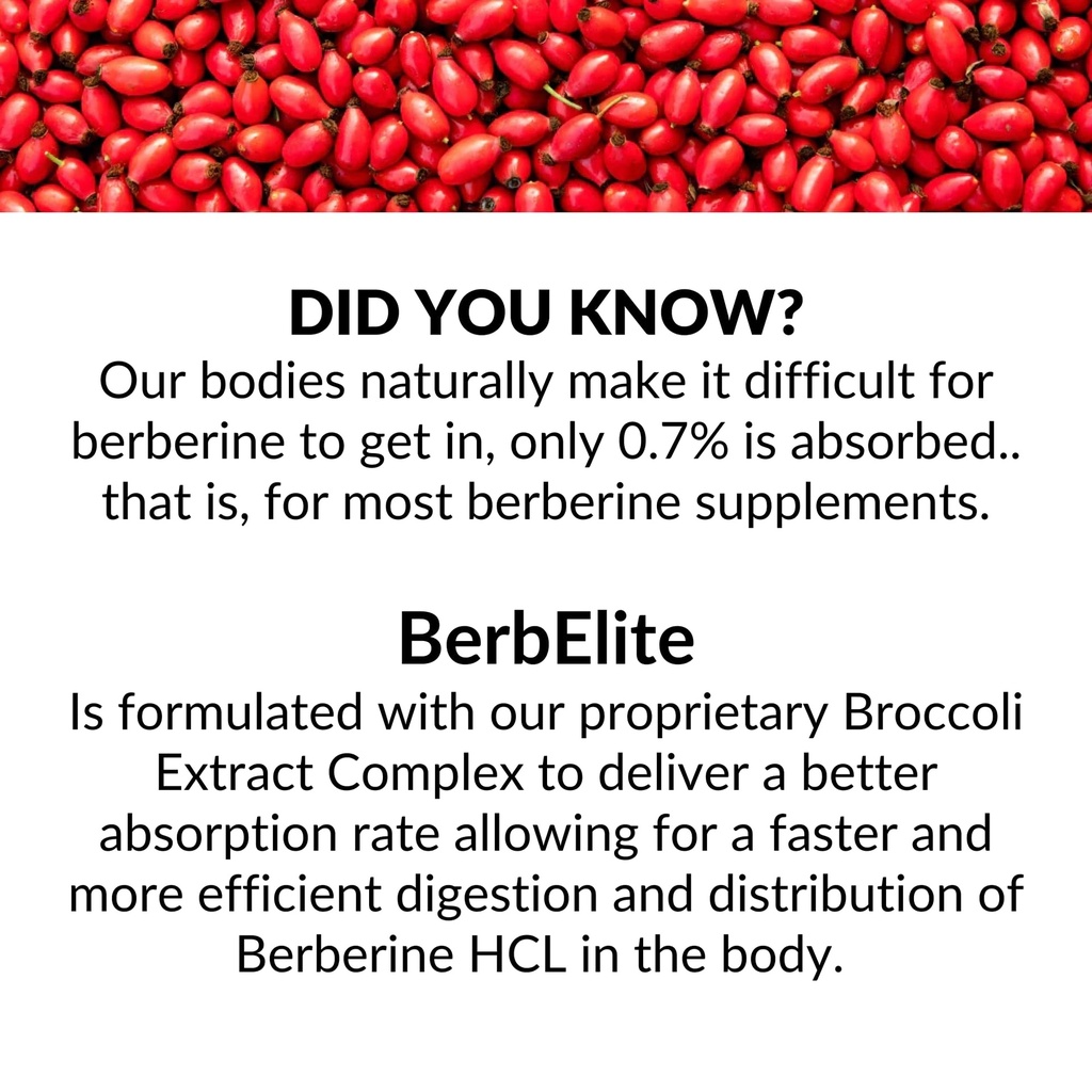mara-labs-berbelite-350mg-berberine-hcl--4.jpg