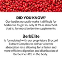 mara-labs-berbelite-350mg-berberine-hcl--4.jpg