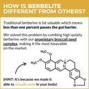 mara-labs-berbelite-350mg-berberine-hcl--6.jpg
