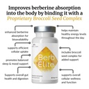 mara-labs-berbelite-350mg-berberine-hcl--5.jpg
