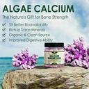 1-pack-plant-based-calcium-gummies-sulfo-4.jpg