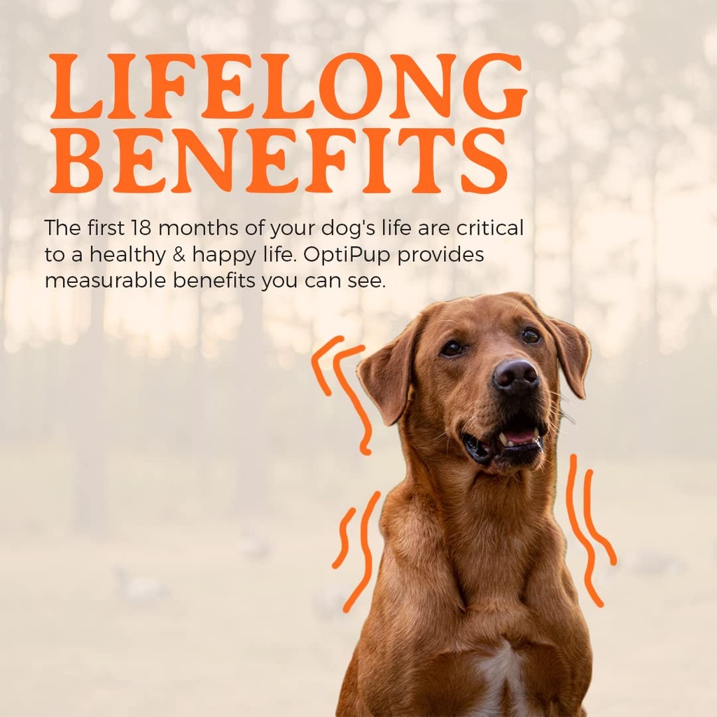 alpha-dog-nutrition-optipup-all-in-1-pup-6.jpg