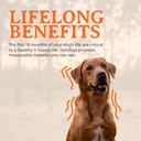 alpha-dog-nutrition-optipup-all-in-1-pup-6.jpg