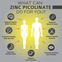 omnibiotics-zinc-picolinate-30mg-supplem-3.jpg