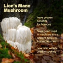 lions-mane-powder-8-oz---pure-lions-mane-4.jpg