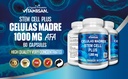 vitamisan-10-bottles-celulas-madres-stem-4.jpg