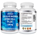 vitamisan-10-bottles-celulas-madres-stem-3.jpg