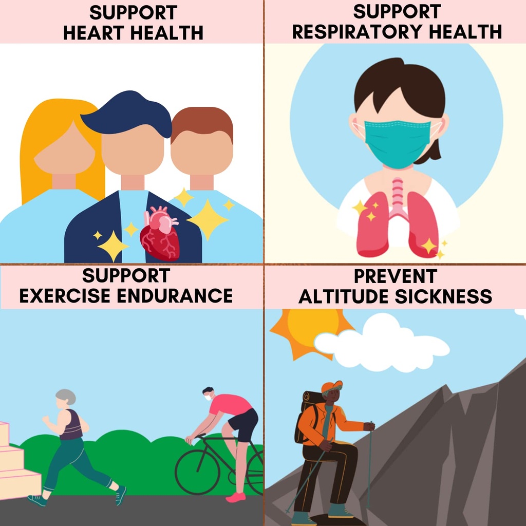 acamed-sport-101-highly-recommended-for--4.jpg