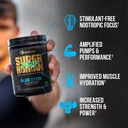 alpha-lion-superhuman-pump-pre-workout-p-2.jpg