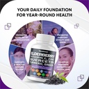 elderberry-quercetin-bilberry-turmeric-t-4.jpg