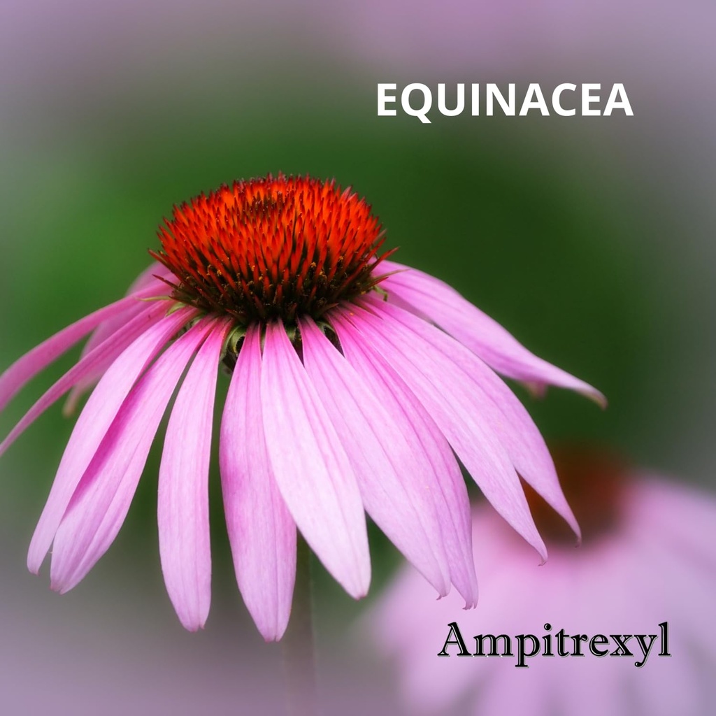 ampitrexyl-plus-100-natural-antioxidant--3.jpg