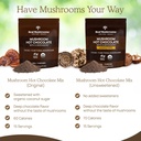 real-mushrooms-hot-chocolate-mix-15srv-5-3.jpg