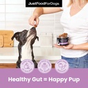 justfoodfordogs-probiotic-booster-gut-he-4.jpg